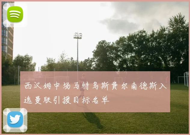 西汉姆中场马特乌斯费尔南德斯入选曼联引援目标名单